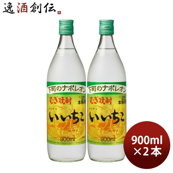 麦焼酎 いいちこ 25度 900ml 2本 焼酎 三和酒類