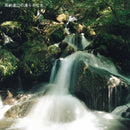 ごま焼酎 紅乙女 角 720ml 25度 紅乙女酒造 焼酎