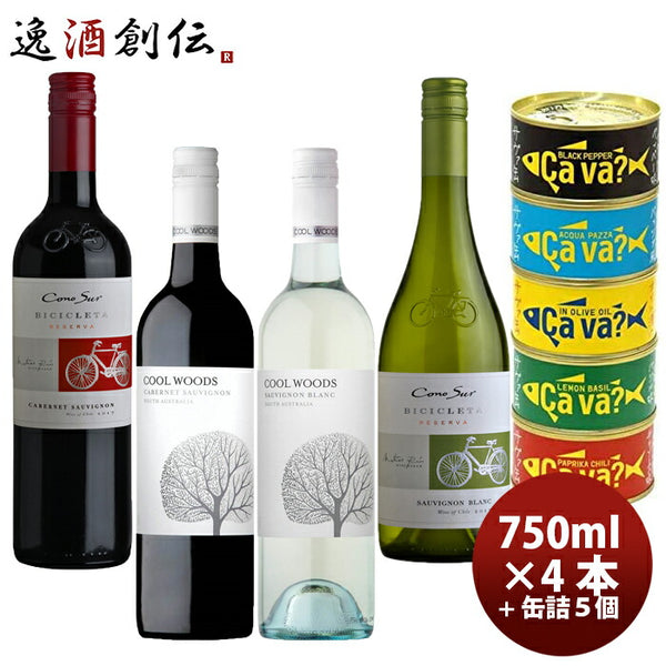 ワインセット カベルネS&ソーヴィニヨンB飲み比べ×サヴァ缶5種