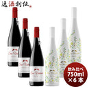 ワイン エノテカ 大切な人へ贈る天使のワイン サン・ヴァレンティン 750ml 2種6本セット