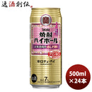 チューハイ 宝 焼酎ハイボール＜大衆酒場の赤しそ割り＞ 500m24本 1ケース 新発売 9月24日以降のお届け