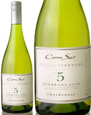 チリ ヴィーニャ・コノスル シングルヴィンヤード シャルドネ 750ml 1本 クール便指定は通常送料に+324円 ギフト 父親 誕生日 プレゼント