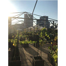 ワイン 深川ワイナリー東京 ソーヴィニヨンブラン 750ml 3本ワイナリー直送 他商品と同梱不可