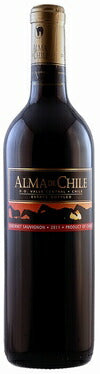チリ De Aguirre アルマ・デ・チリ カベルネソーヴィニヨン 750ml×1本 ギフト 父親 誕生日 プレゼント