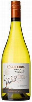 チリ カリテラ トリビュート シャルドネ 750ml×1本 ギフト 父親 誕生日 プレゼント