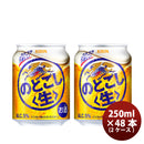 キリン のどごし＜生＞ 250ml 48本 （2ケース） ギフト 父親 誕生日 プレゼント