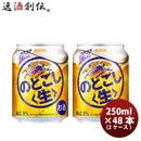 新ジャンル キリン のどごし 生 250ml 24本 2ケース  のし・ギフト対応不可