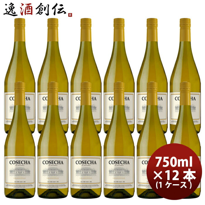 白ワインチリコセチャシャルドネ白750ml×1ケース/12本のし・ギフト・サンプル各種対応不可