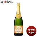 チョーヤ Ｔｈｅ ＣＨＯＹＡ 梅サルーテ 750ml 6本 1ケース 新発売 ギフト 父親 誕生日 プレゼント