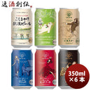 大人気！エチゴビール 定番品 クラフトビール お試し6種6本飲み比べセット