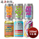 長野県オラホビールOH!LA!HOBEER定番5商品＆限定品1商品6種6本セット缶350mlクラフトビール6月7日発売！限