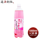 博水社ハイサワースンチー杏仁檸檬(あんにんれもん)ペット1L×2ケース/30本1000ml割り材新発売
