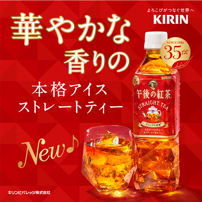 キリン 午後の紅 茶ストレート 500ml 24本 2ケース リニューアル のし・ギフト・サンプル各種対応不可