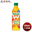 フルーツジュース トロピカーナ オレンジブレンド キリン 500ml 24本 1ケース 本州送料無料 四国は+200円、九州・北海道は+500円、沖縄は+3000円ご注文後に加算 ギフト 父親 誕生日 プレゼント