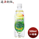 カルピス 味わいメロンクリームソーダ PET 500ml 24本 2ケースアサヒ飲料 新発売 のし・ギフト・サンプル各種対応不可