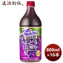 ウエルチグレープペット800G×2ケース/16本welch'sアサヒ飲料カルピス期間限定2月15日以降のお届け本州送 