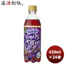 ウェルチ ぶどう１房分のポリフェノールスパークリング PET ペットボトル 430ml 24本 1ケース 新発売 のし・ギフト・サンプル各種対応不可
