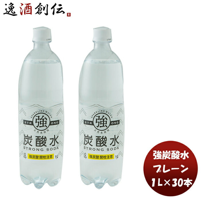 友桝強炭酸水１ＬＰＥＴ1L×2ケース/30本本州送料無料四国は+200円、九州・北海道は+500円、沖縄は+3000円