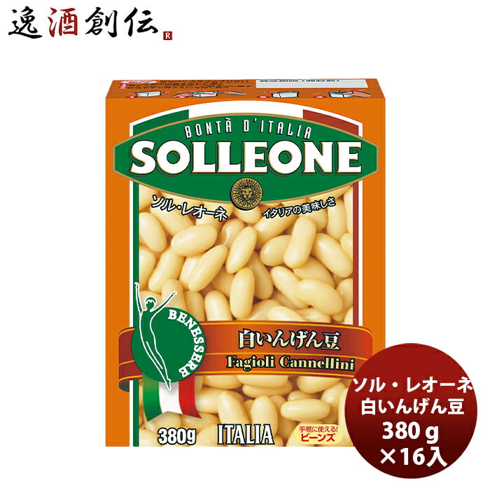 日欧ソル・レオーネ白いんげん豆390g×16箱（1ケース）新発売本州送料無料四国は+200円、九州・北海道は+500円、沖縄は+3000円ご注文時に加算イタリア簡単アレンジ自由紙パックサラダ長期常温保存 日欧ソル・レオーネ白いんげん豆390g×16箱（1ケース）新発売本州送料無料四国は+200円、九州・北海道は+500円、沖縄は+3000円ご注文時に加算イタリア簡単アレンジ自由紙パックサラダ長期常温保存