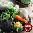 大田市場直送 有機野菜詰め合わせ 9～10品 季節野菜 大治 新発売 ギフト 父親 誕生日 プレゼント　 ギフト包装・のし不可