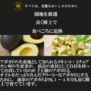 王様のアボカド ２４玉 着日指定不可・順次入荷次第発送  のし・ギフト対応不可