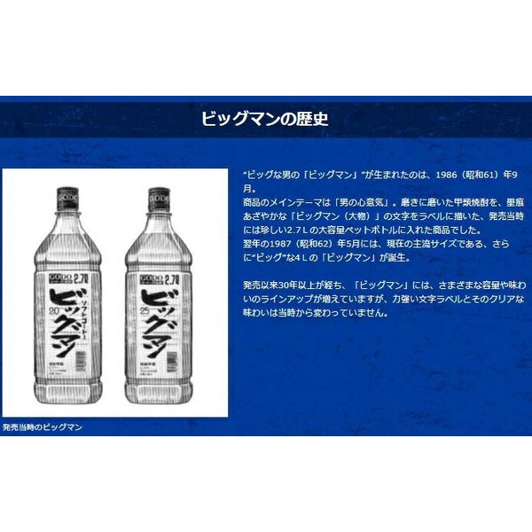 甲類焼酎 25度 合同 ビッグマン ペット （新） 4000ml 4L 1本 ギフト 父親 誕生日 プレゼント