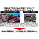 20度 甲乙混和 合同酒精 鍛高譚（たんたかたん) しそ 1800ｍｌ ギフト 父親 誕生日 プレゼント　1800ml 1.8L