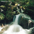 ごま焼酎 紅乙女 KURO 720ml 6本 1ケース 25度 紅乙女酒造 焼酎