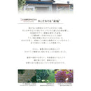 白ワイン 大和葡萄酒 ハギーワイン 古代甲州 720ml 1本 のし・ギフト・サンプル各種対応不可